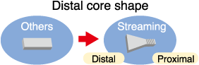 Distal core shape